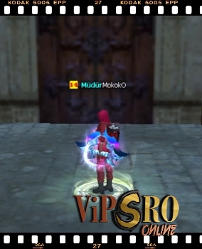 110-cap-sro-pvp-73.jpg