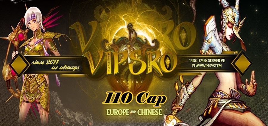 110-cap-vipsro-2025.jpg